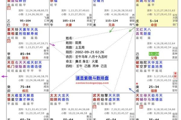 紫薇斗数实例解说 紫薇斗数实例解说