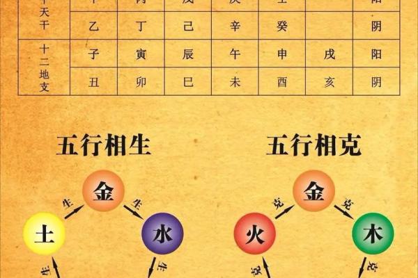 八字地支全是水的命理分析