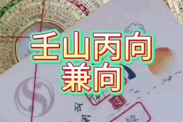 丙山壬向兼午子风水 丙山壬向兼午子风水
