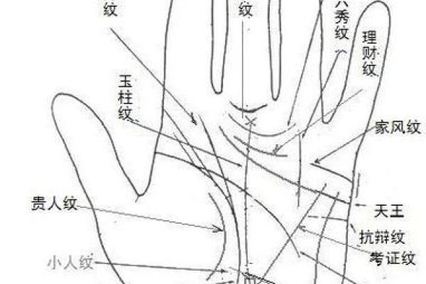 看手相算命大师免费下载