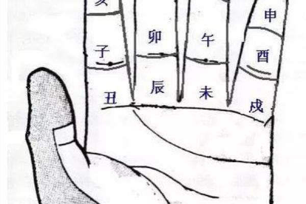 看手相算命大师免费下载