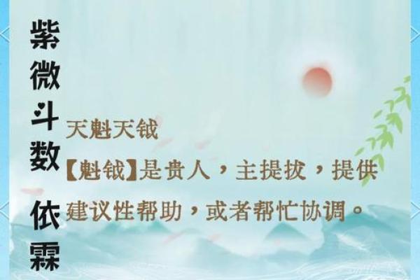 紫微斗数关于天魁天钺星的部分解析