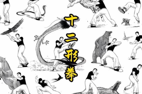 形意门秘传八字连环拳