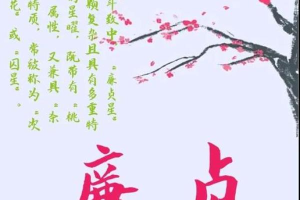 紫微斗数廉贞化气 紫微斗数廉贞化禄？