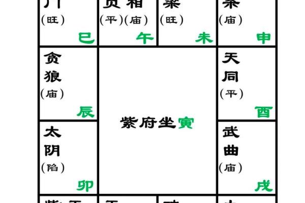 紫薇斗数看一生命运