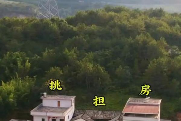 房子挂网上风水