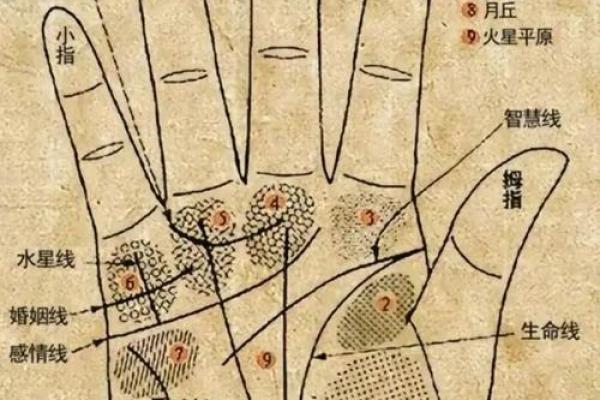 手相算命,女人手相成功线图解