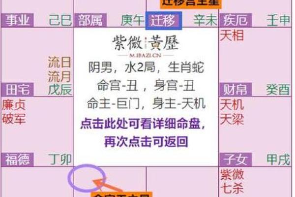 紫薇斗数子女宫巨门化忌