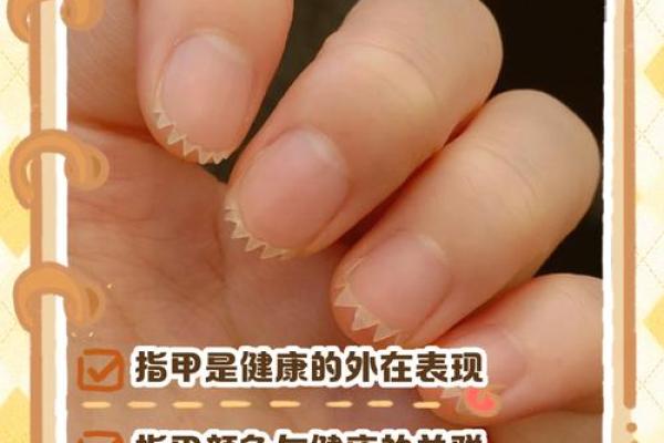 指甲 风水 指甲 风水